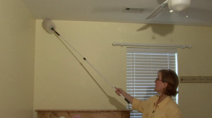 Slough house cleaning